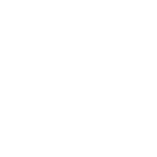 RAI WEB SERVICEのロゴ